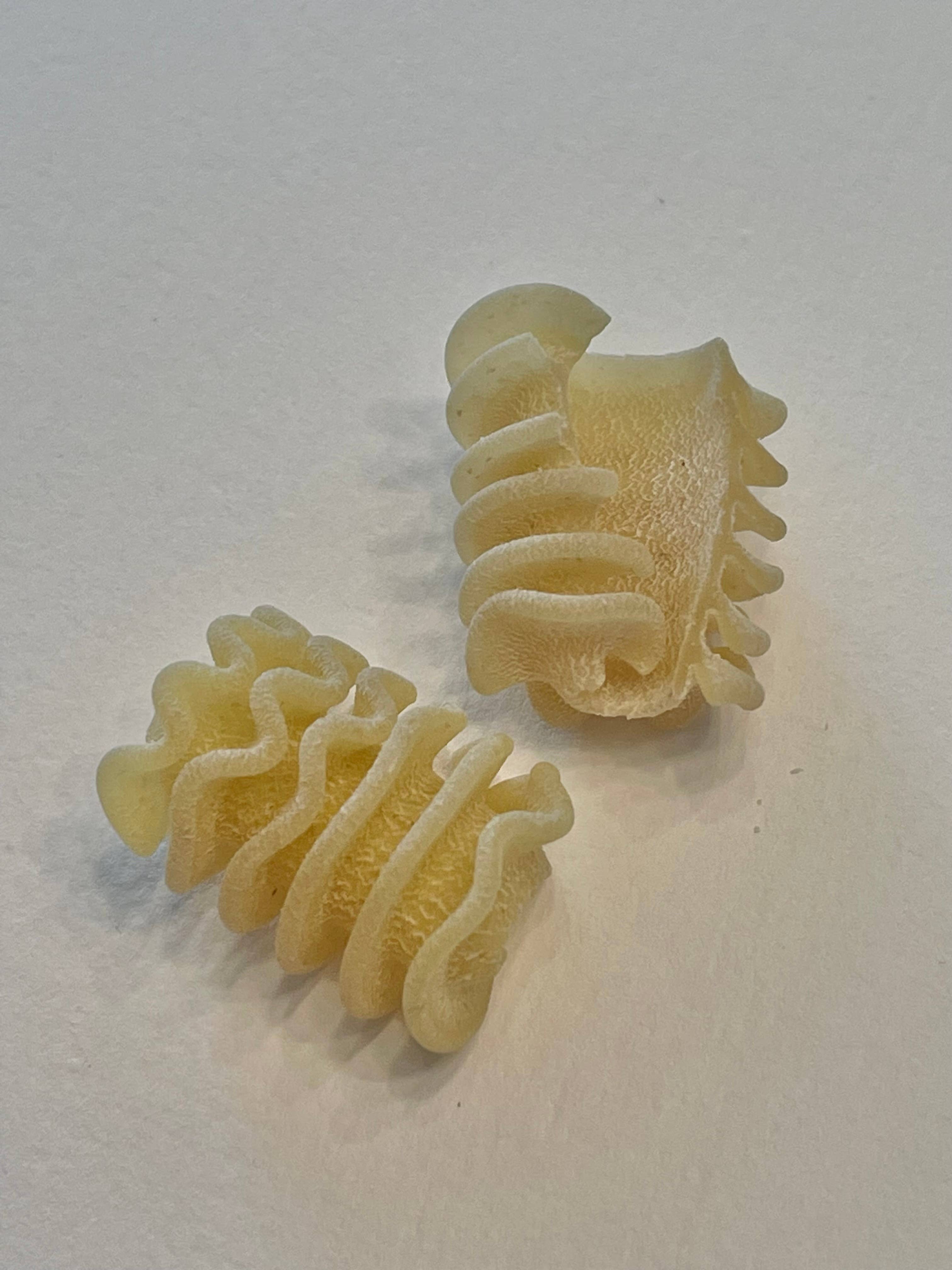 Radiatore Pasta