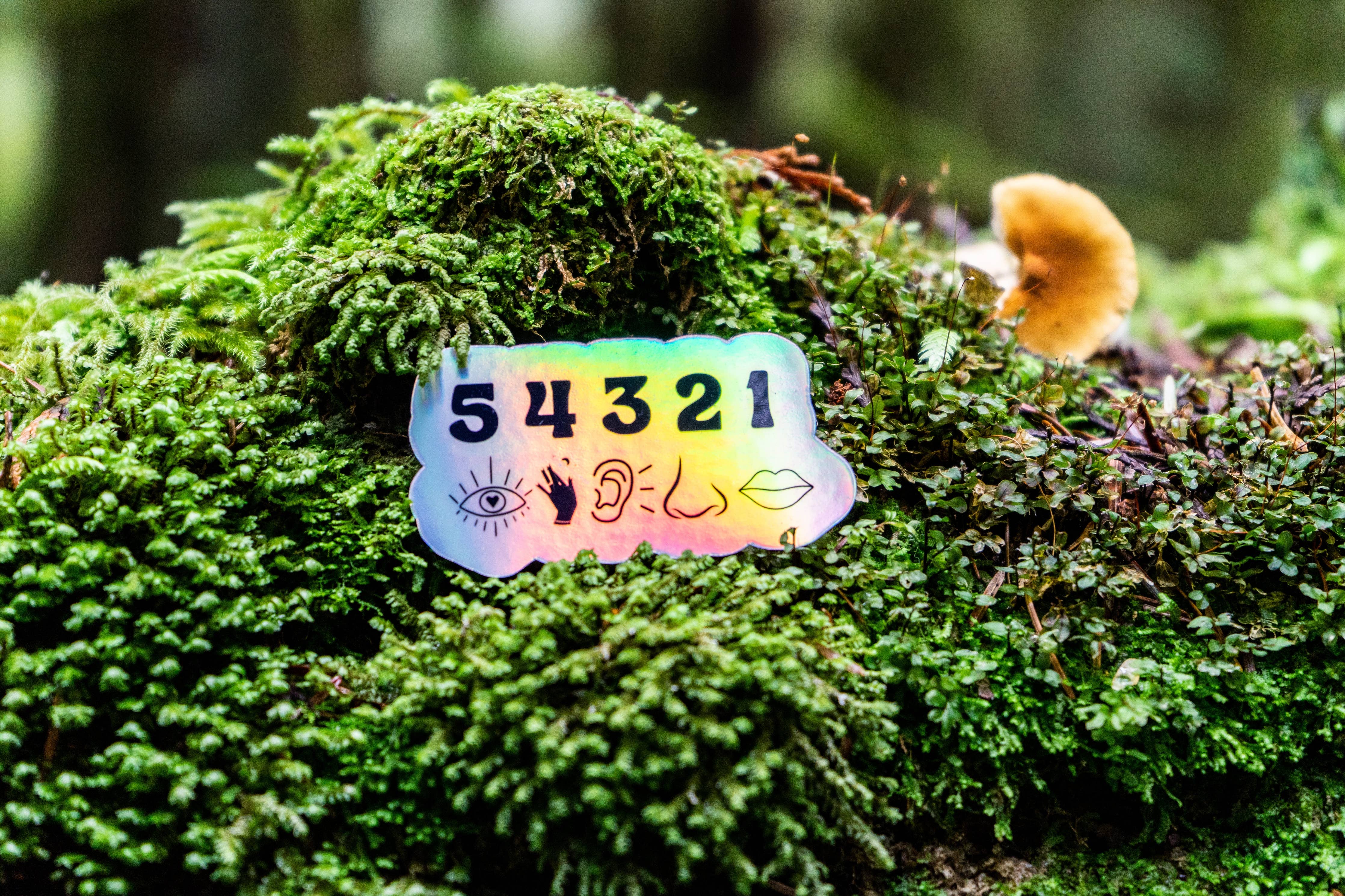 Holographic 54321 Grounding Sticker