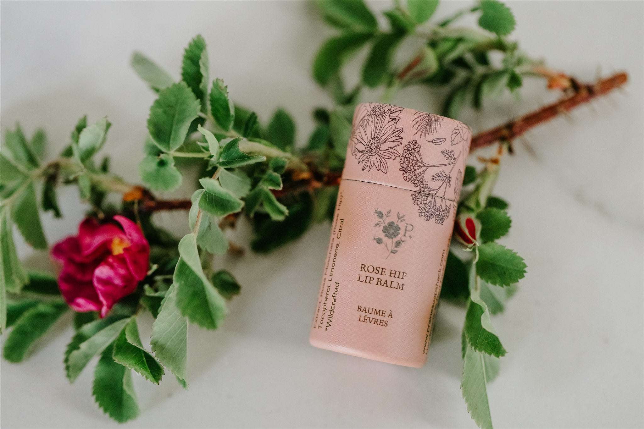 Rose Hip Lip Balm - Best Seller