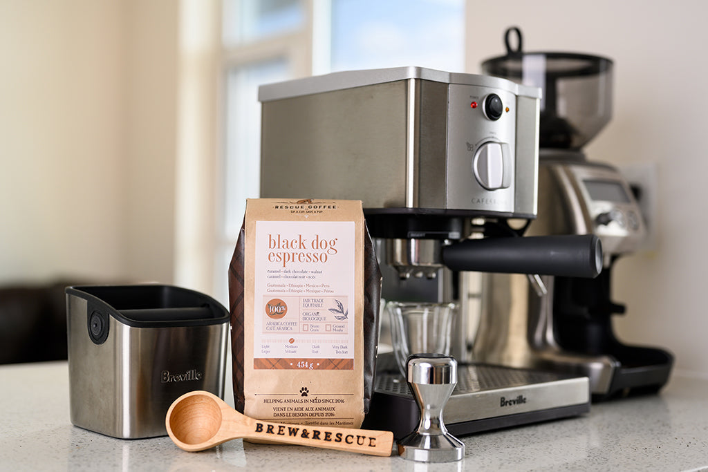 Black Dog Espresso | Medium Roast | 1lb Bag | Organic Coffee
