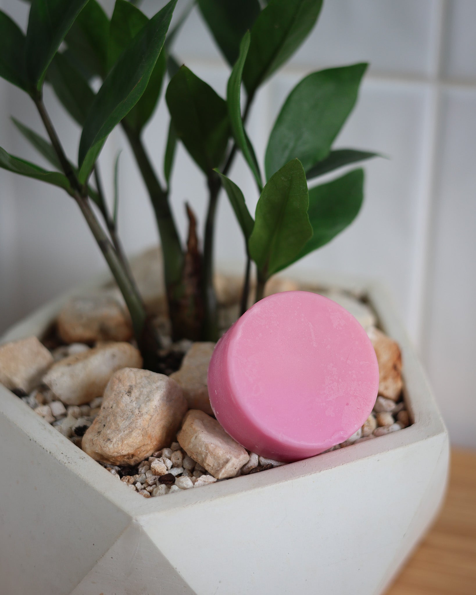 Rad Hair Day Nourishing Conditioner Bar