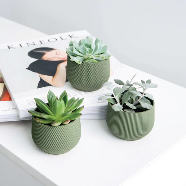 Mini Planter Set