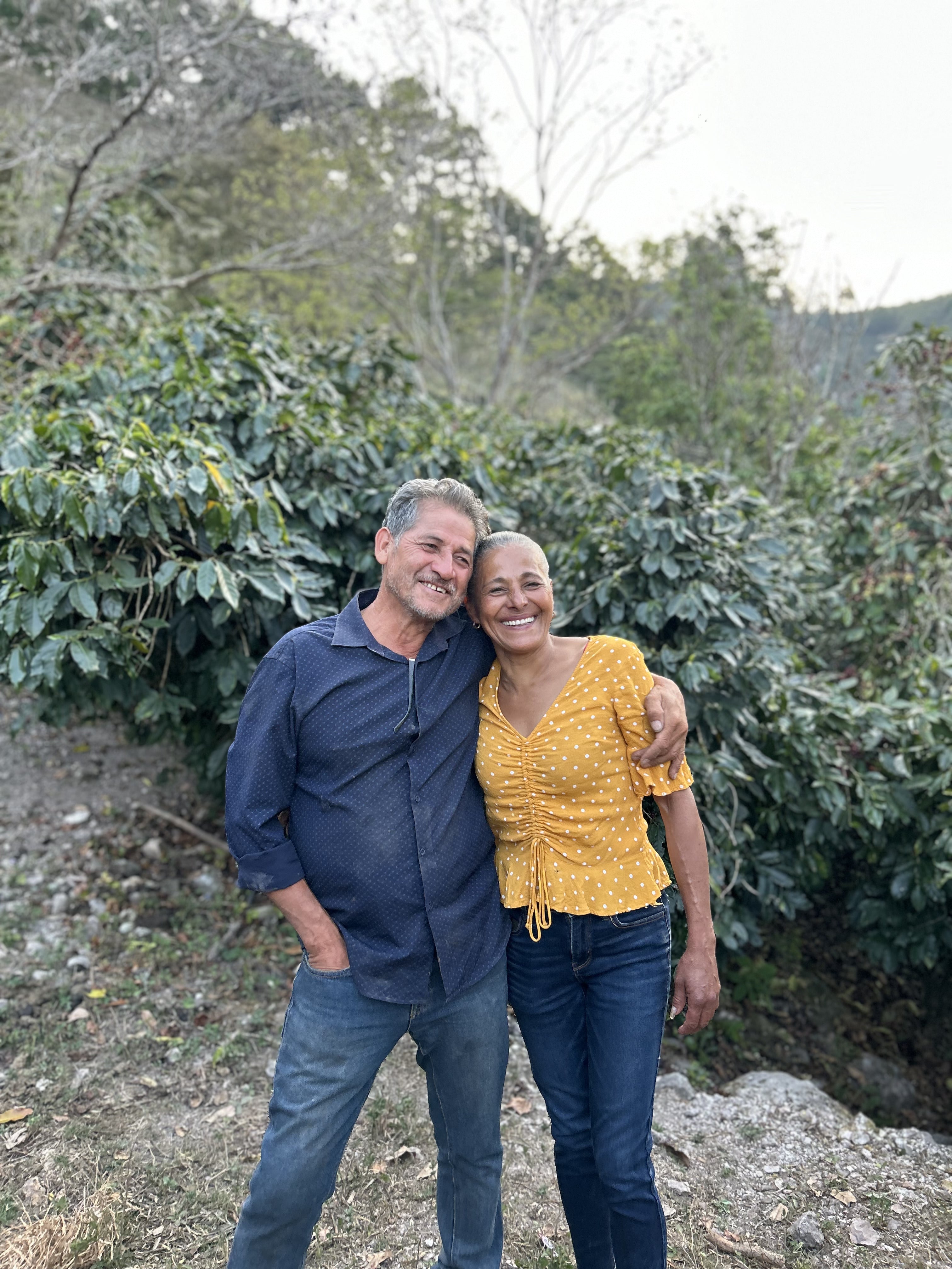 Suenos Decaf - Honduras