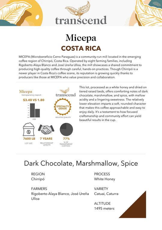 YEG Coffee Club | Monthly Feature