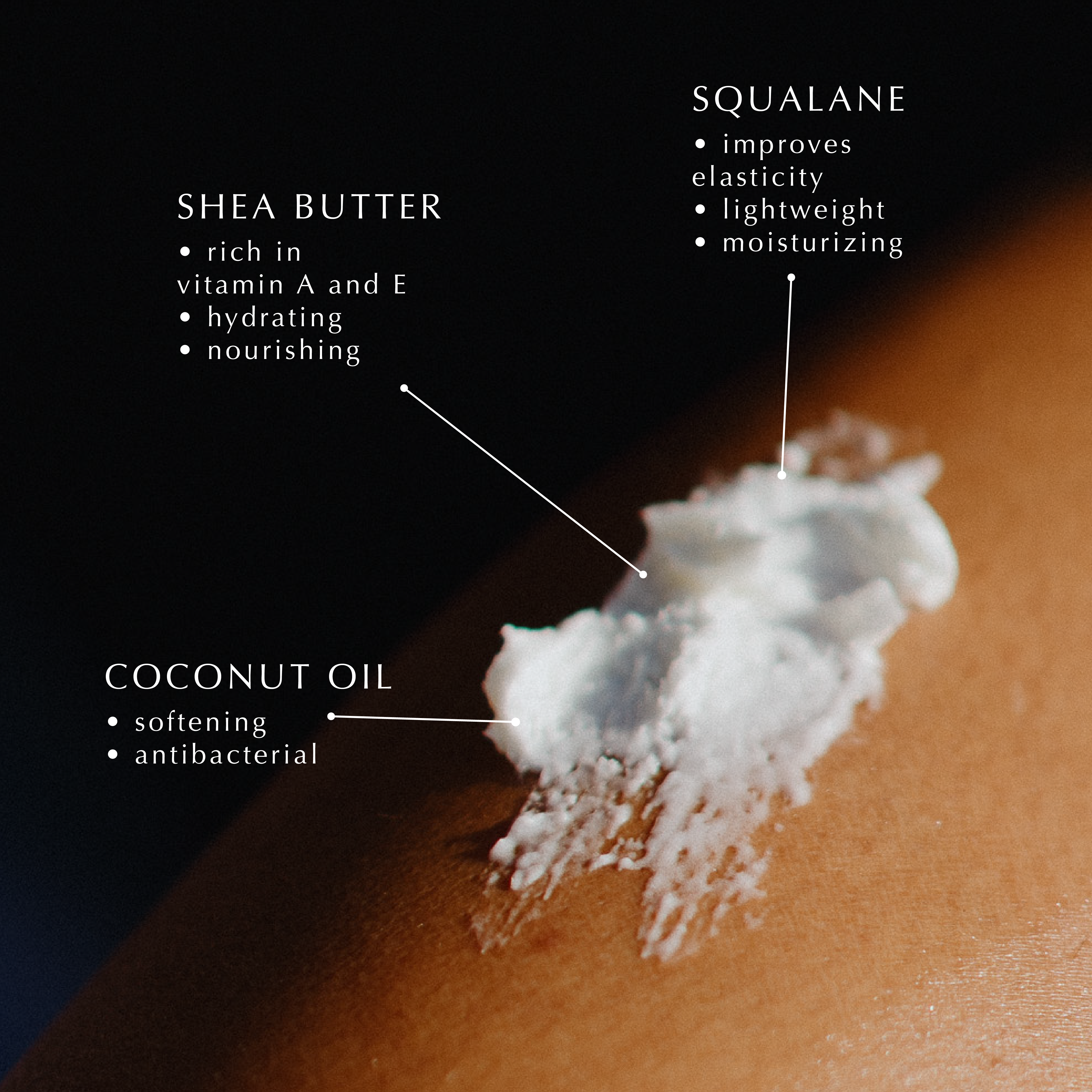 Unscented Body Cream with Squalane