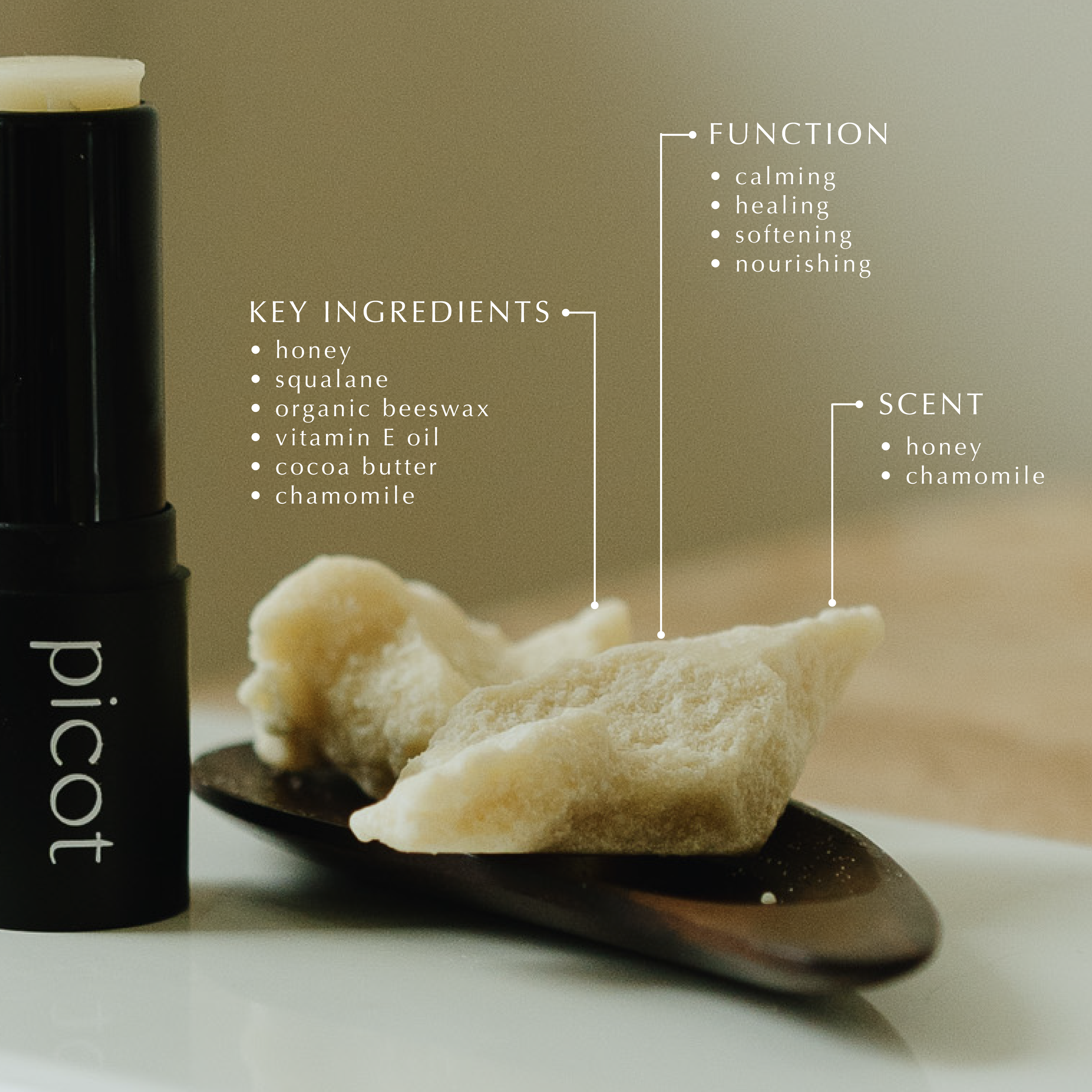The Lip Balm