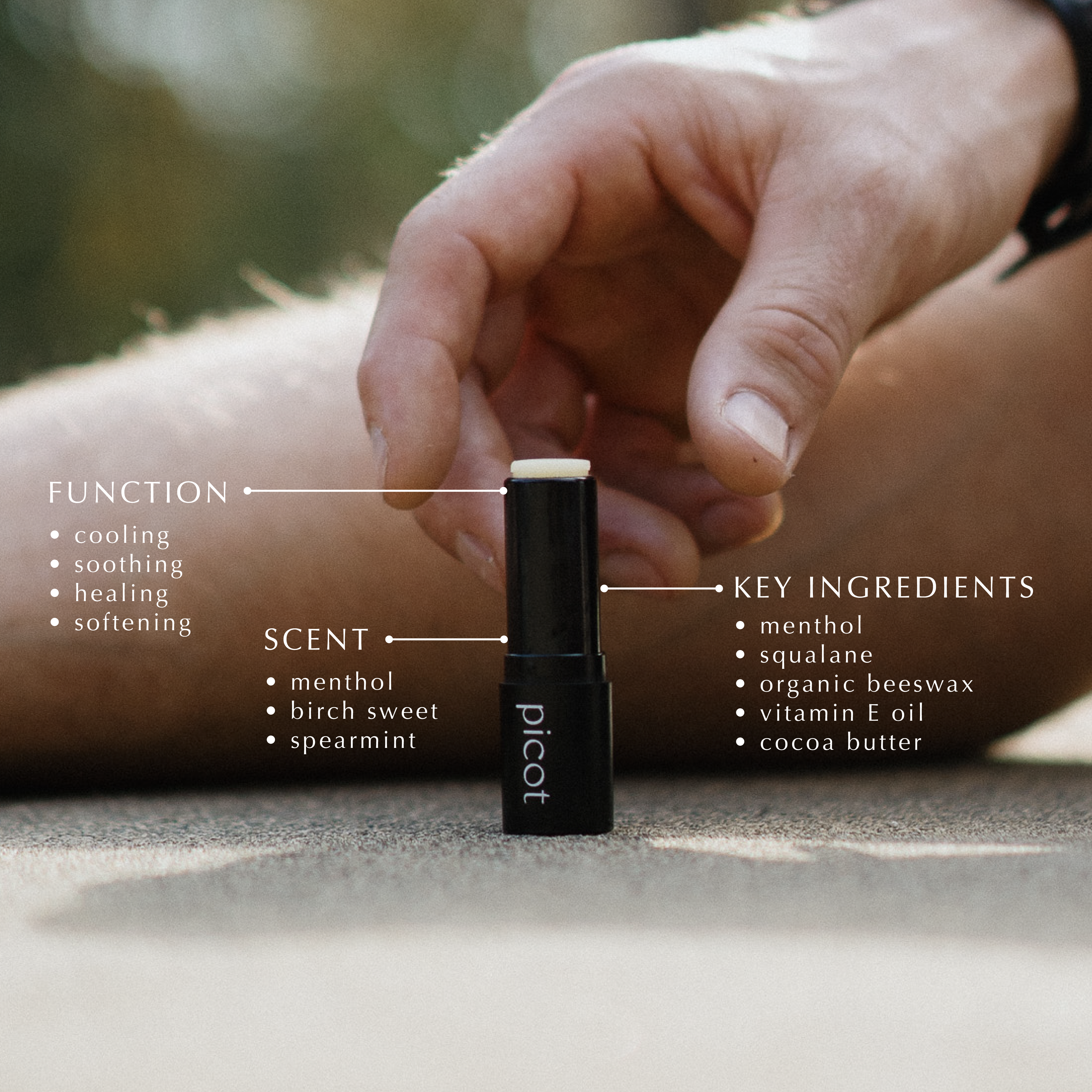 The Lip Balm