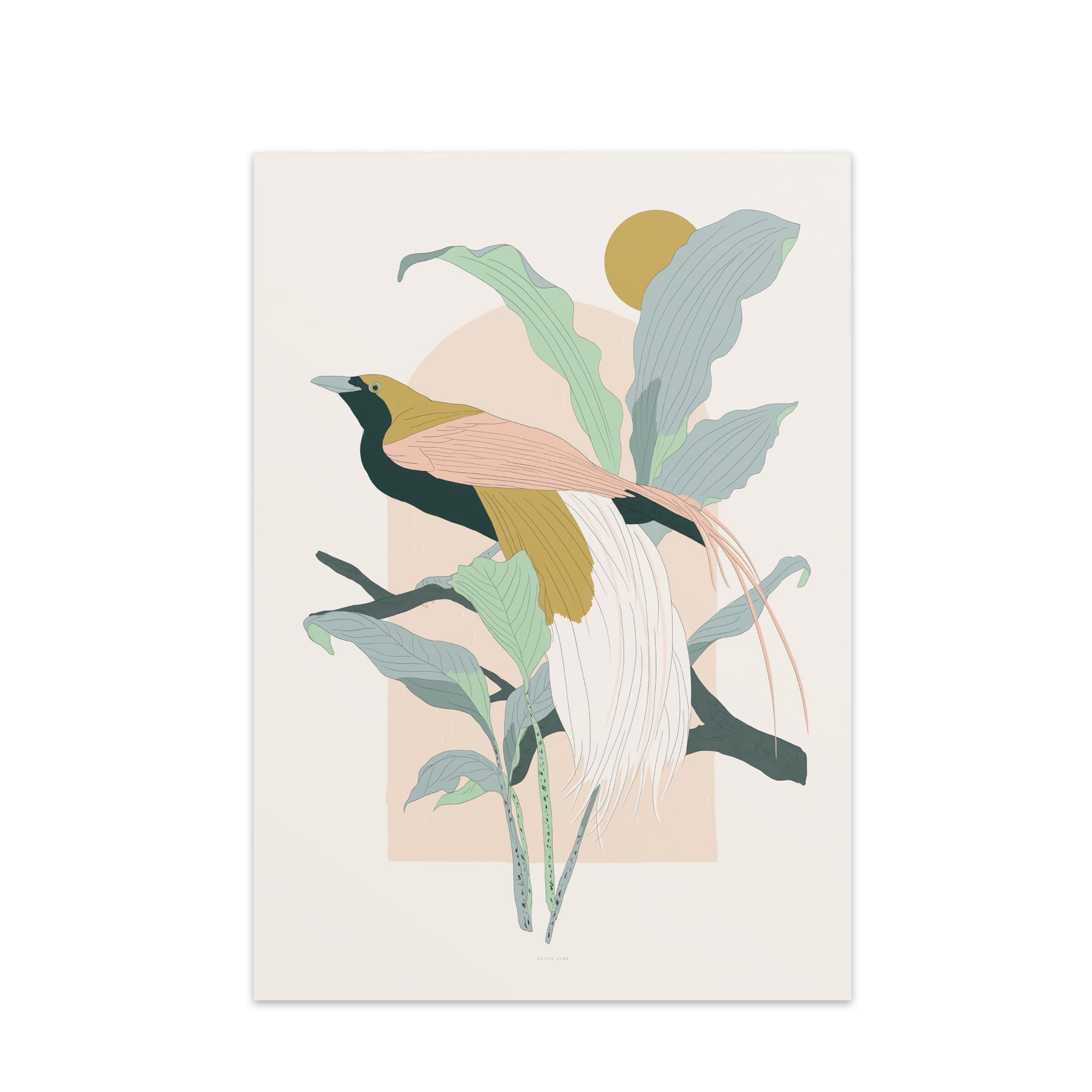 Arcade (Greater Bird-of-Paradise) Art Print