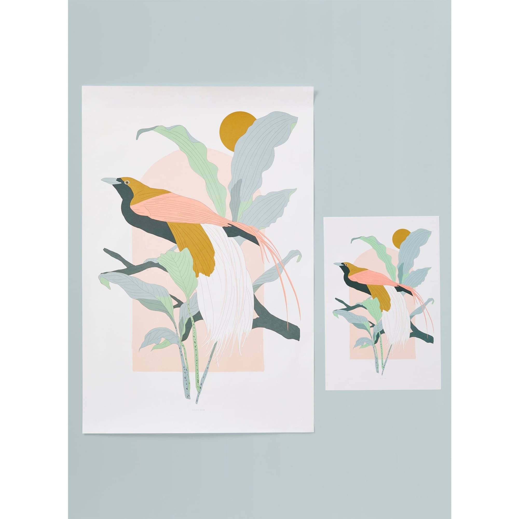 Arcade (Greater Bird-of-Paradise) Art Print