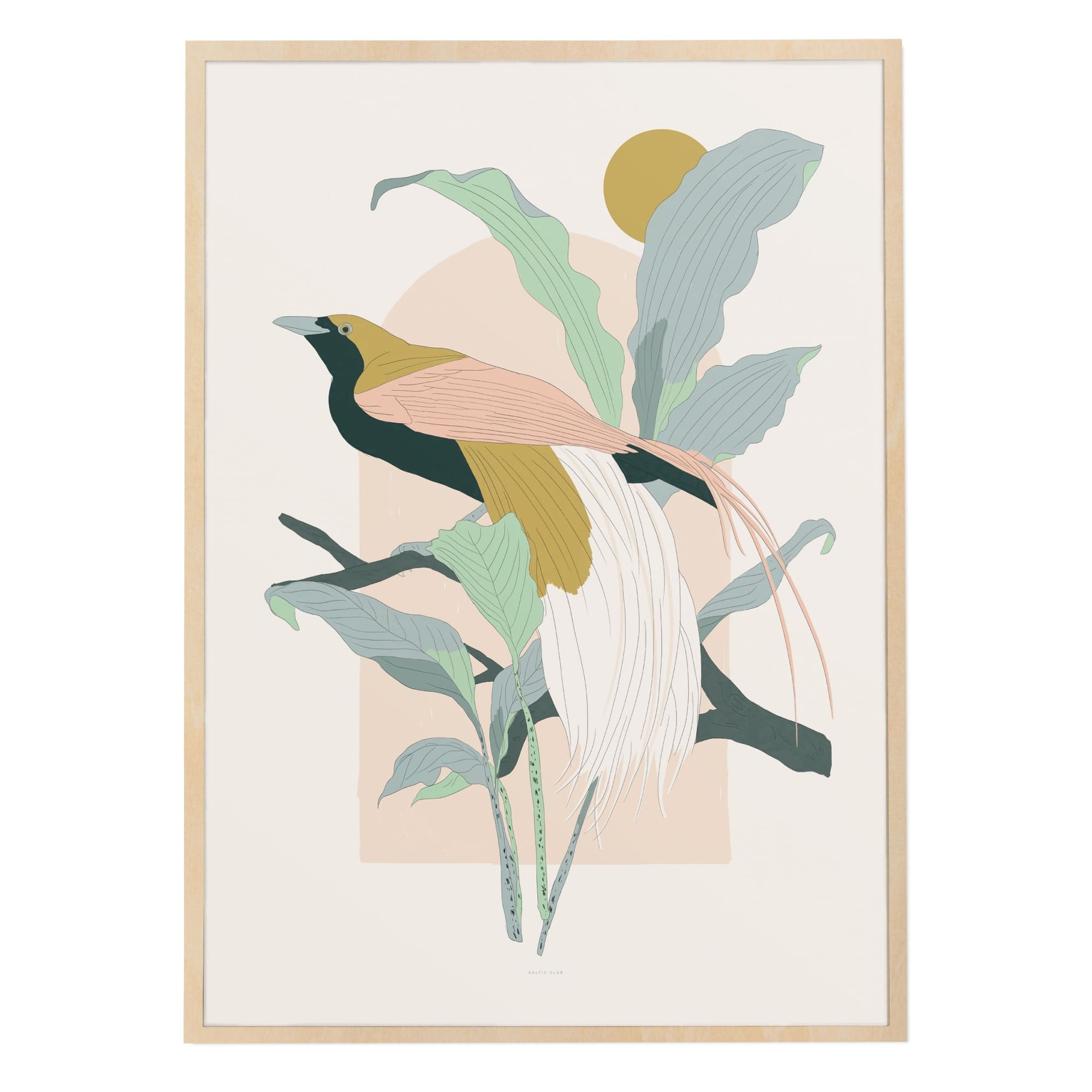 Arcade (Greater Bird-of-Paradise) Art Print