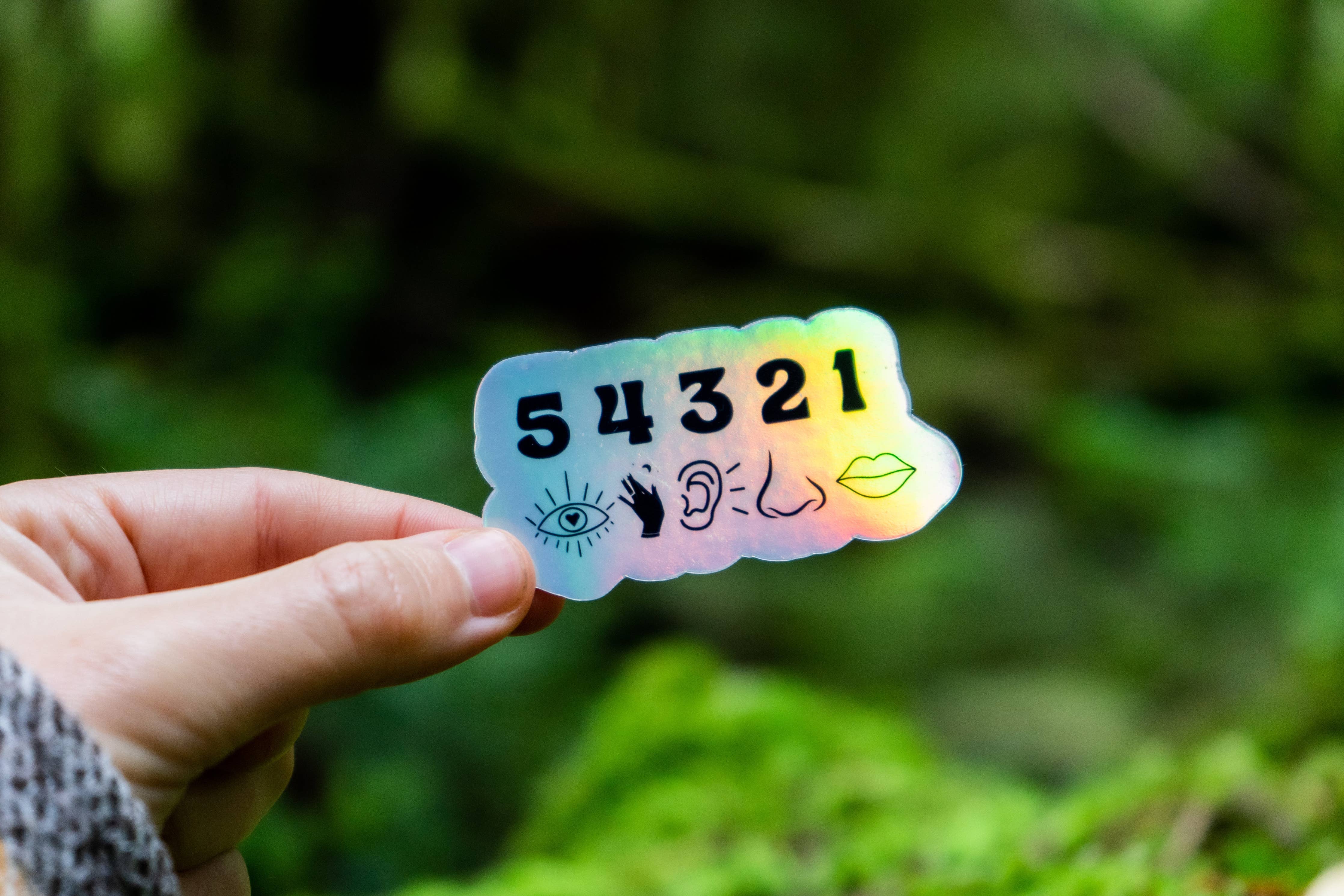 Holographic 54321 Grounding Sticker