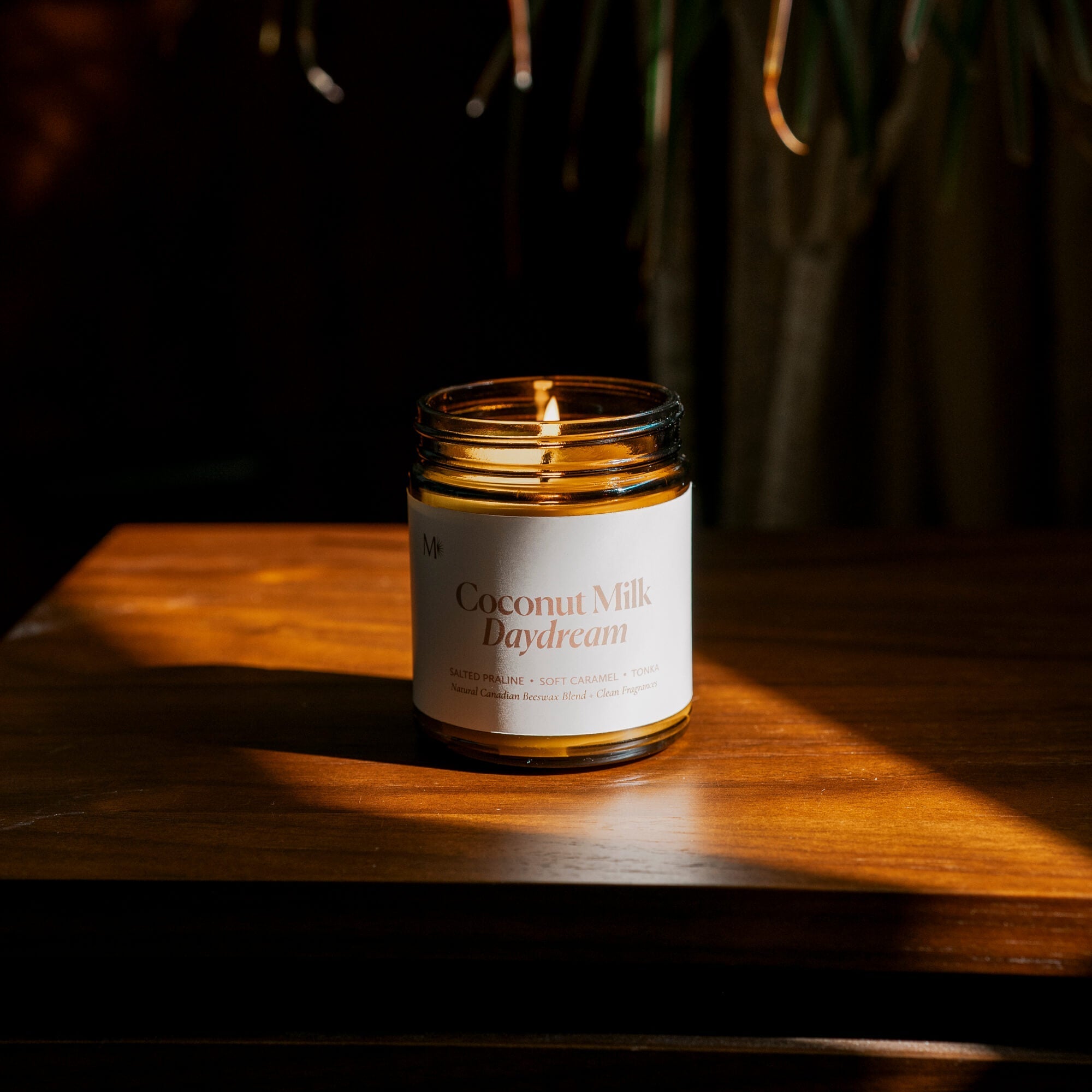 Coconut Milk Daydream Candle