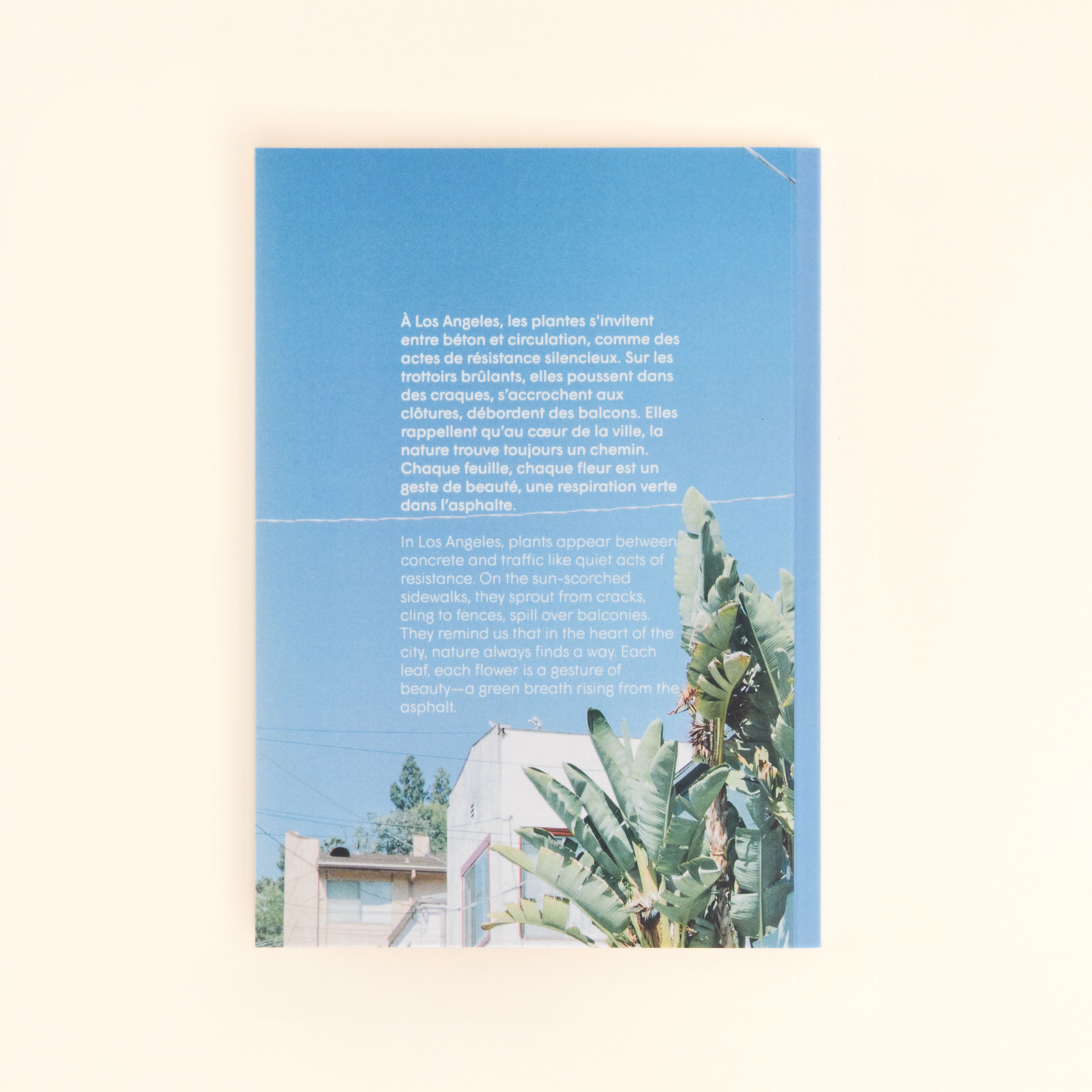 cahier de notes echo park
