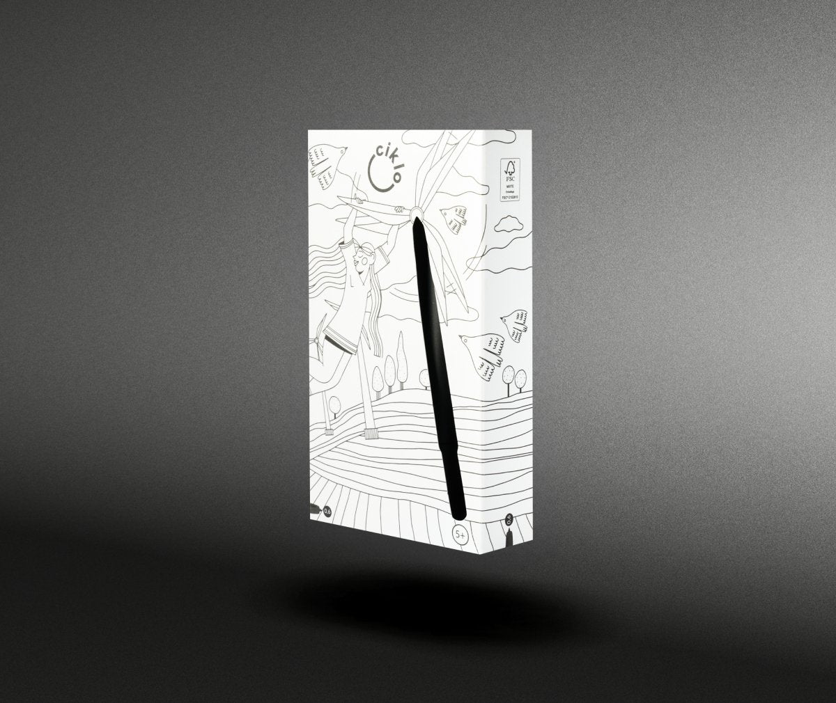 ensemble 12 stylos ciklo noir