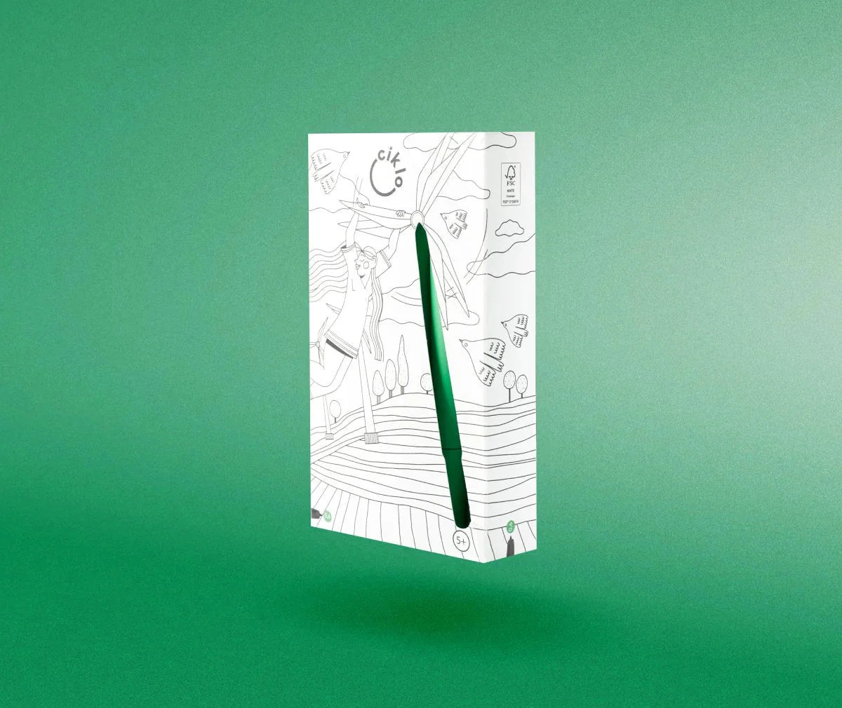ensemble 12 stylos ciklo vert