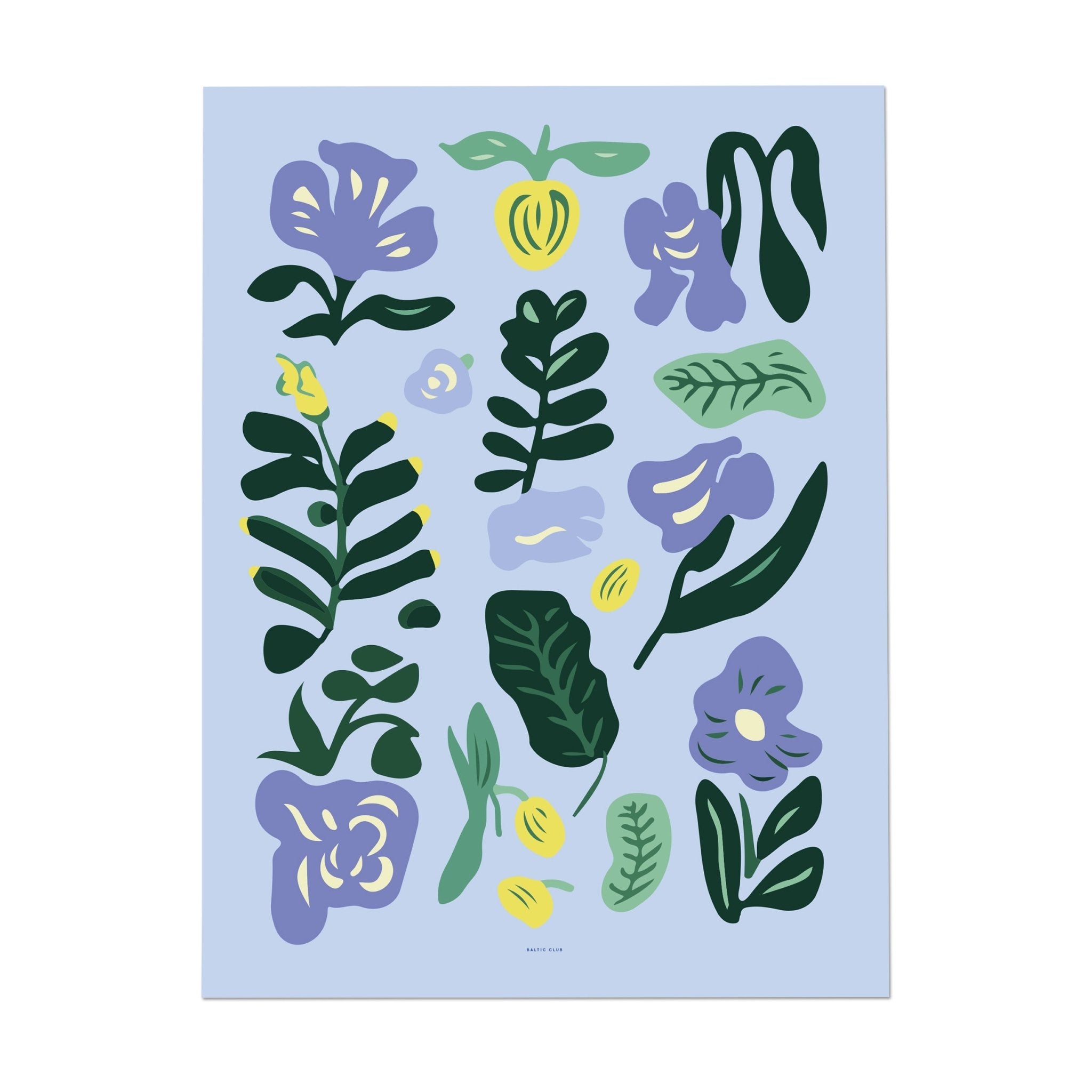 Faroe Art Print