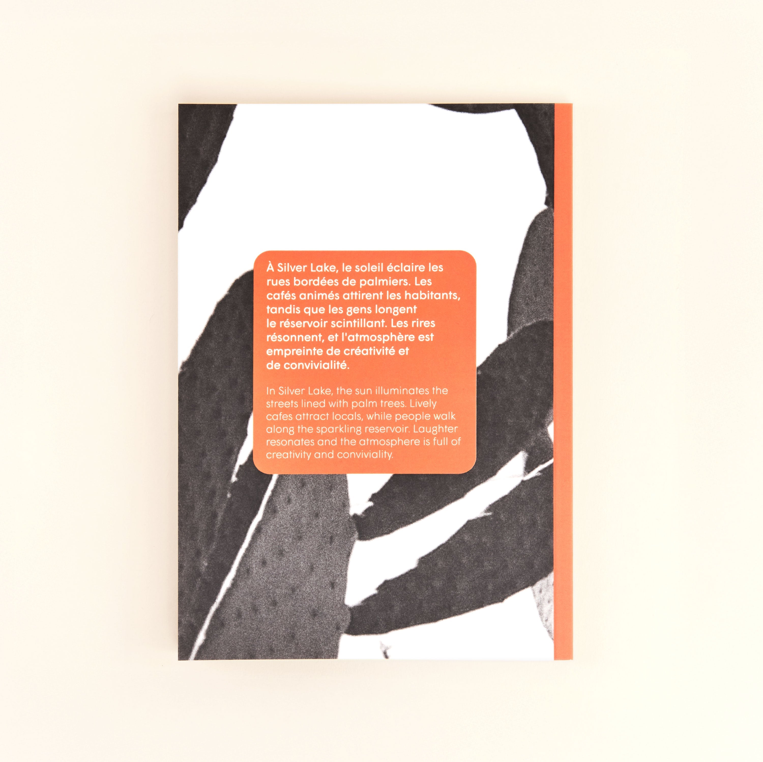 cahier de notes silver lake
