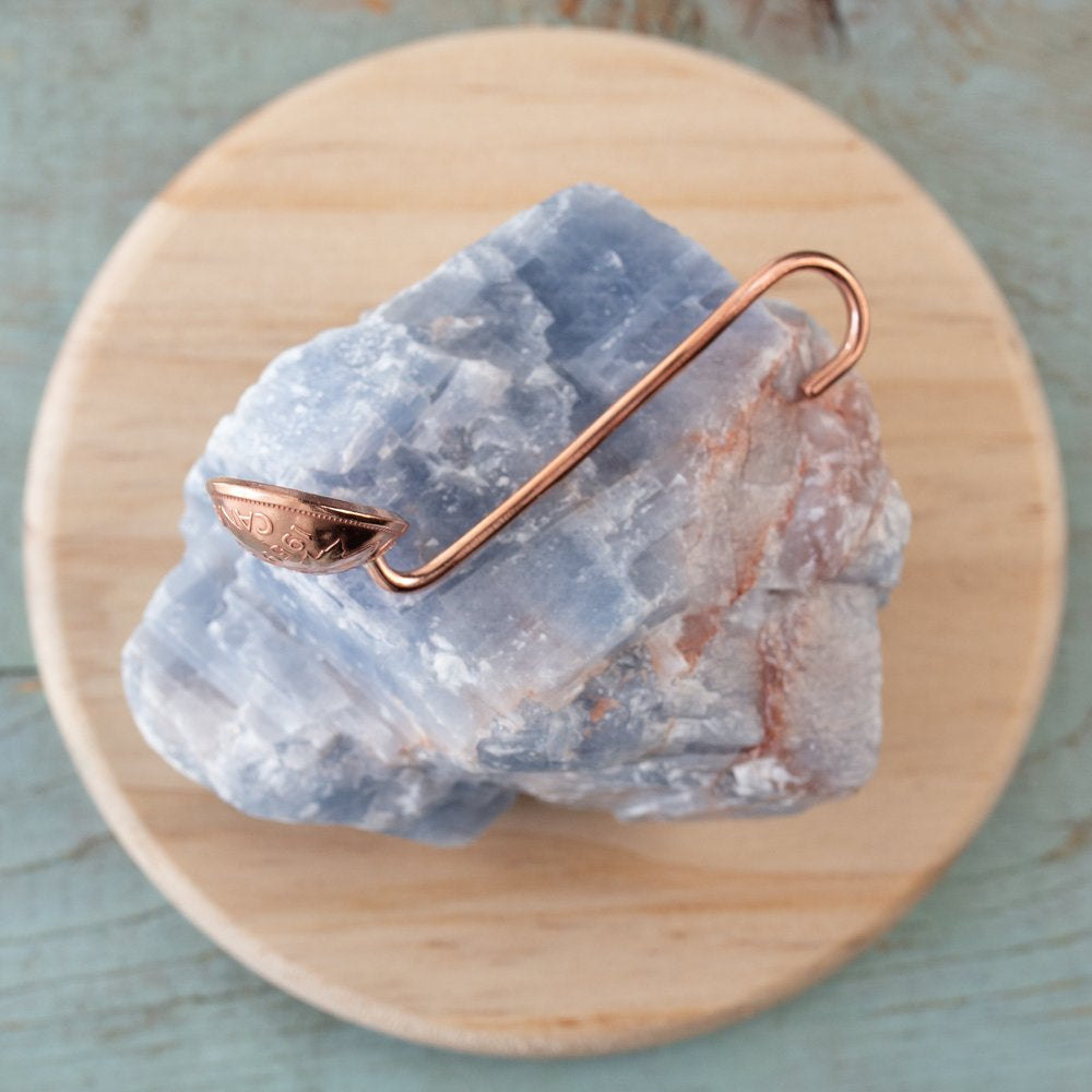 Penny Salt Spoon